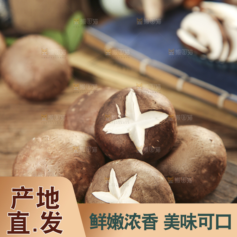 木底上摆放着新鲜香菇