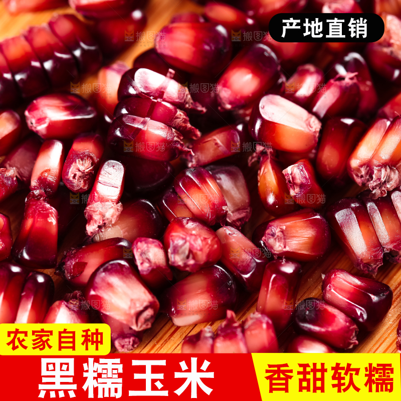 木底上摆放着紫玉米粒