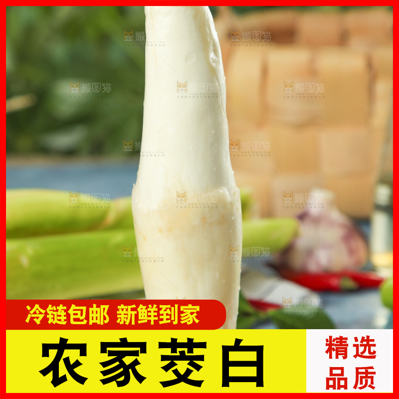 木底上摆放着云南茭白
