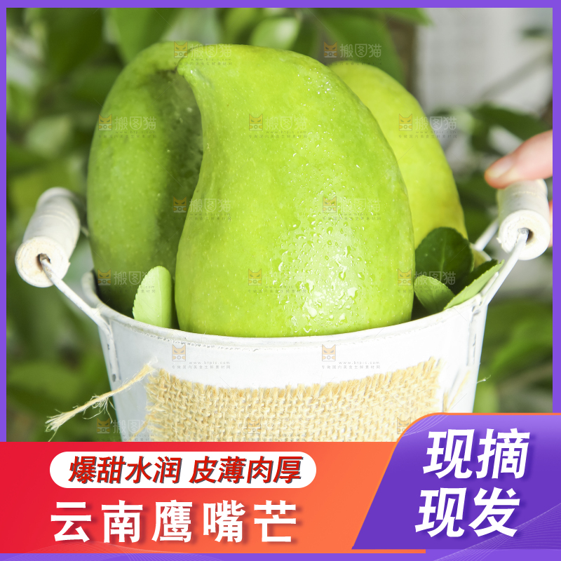 小桶里装着芒果