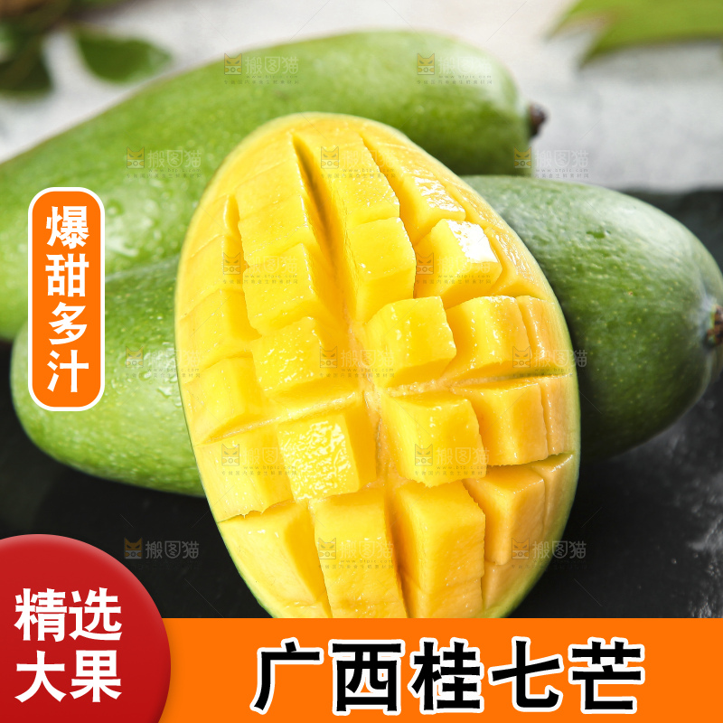 石板上的青皮桂七芒