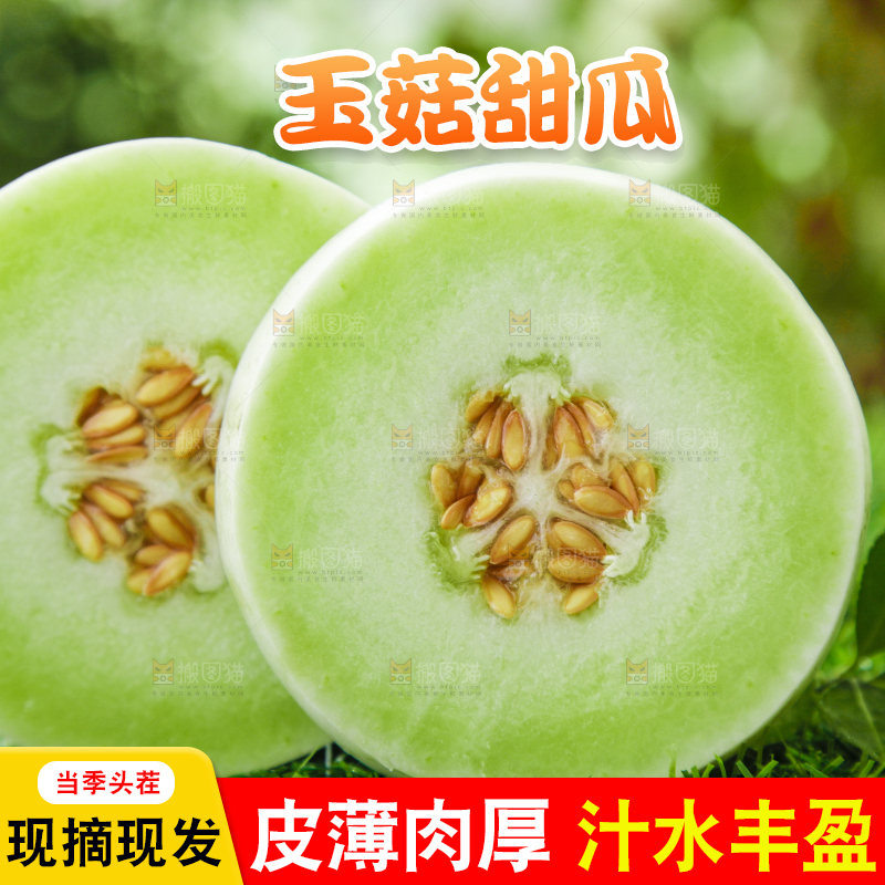 绿草地上摆放着玉菇甜瓜