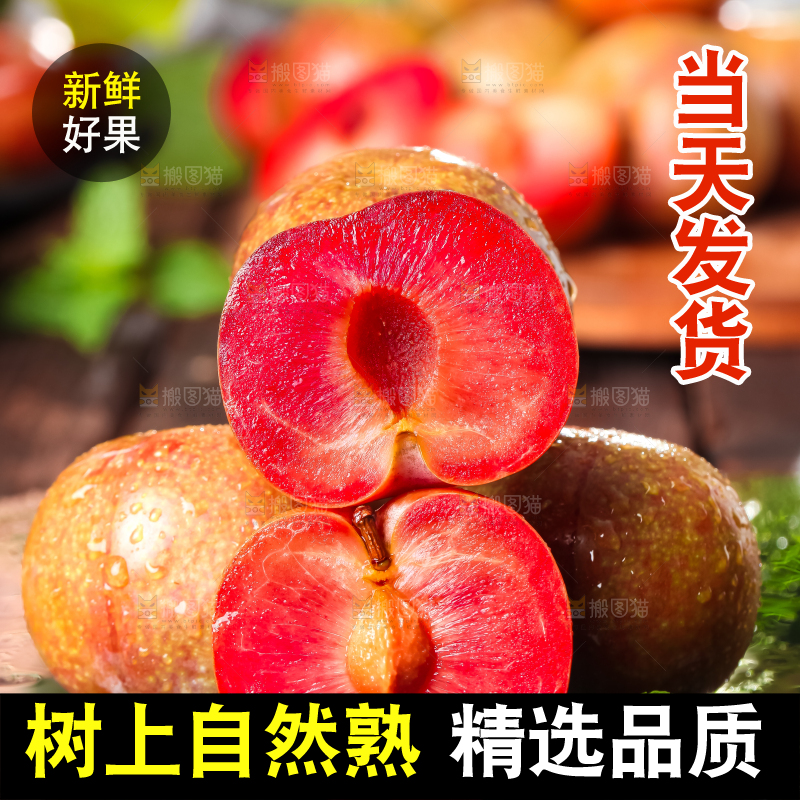 黑底上放着红心三华李