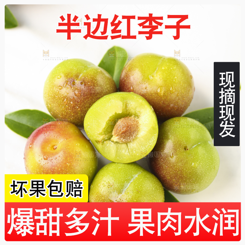 石板上摆放着四川茵红脱骨李