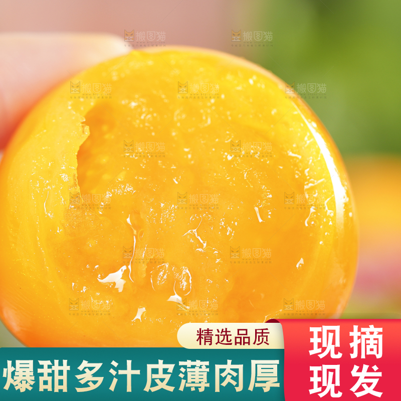 手里拿着黄色小番茄