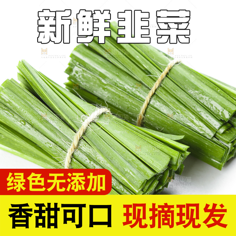 白底上摆放着一把嫩韭菜