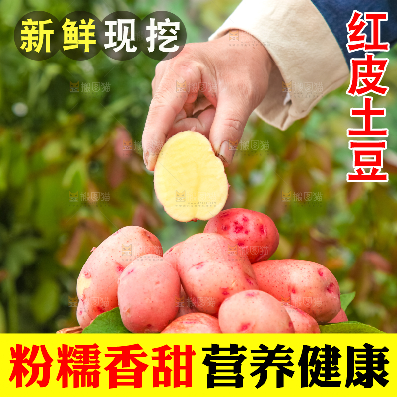 手里拿着土豆