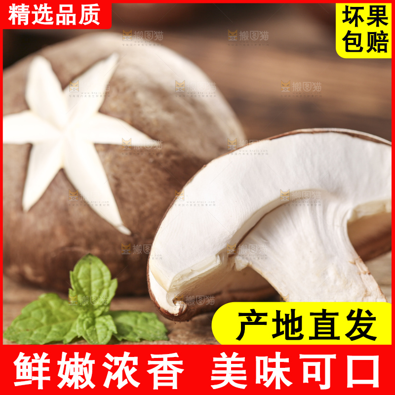 木底上摆放着湖北香菇