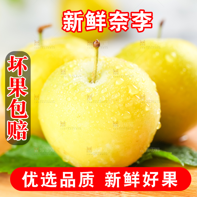 亮底上的九峰山黄金奈李