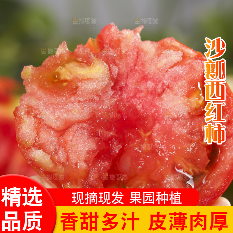 手里拿着大番茄