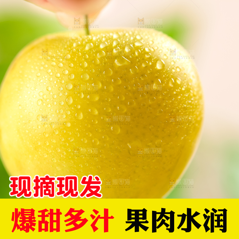 亮底上的九峰山黄金奈李