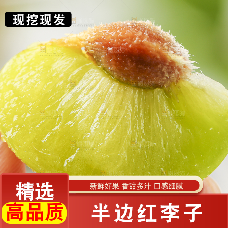 石板上摆放着四川茵红脱骨李