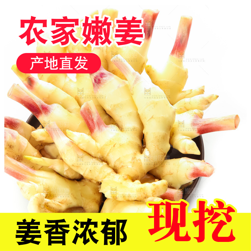 白底上的红芽嫩姜