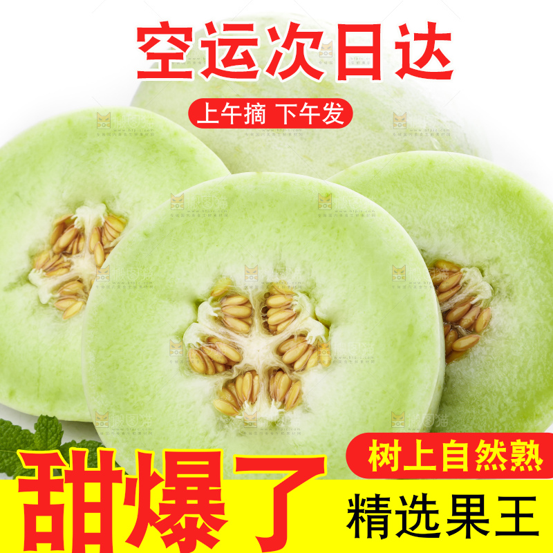 白底上摆放着山东玉菇甜瓜