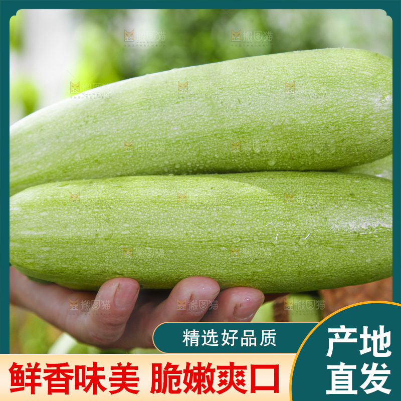 手里拿着西葫芦瓜