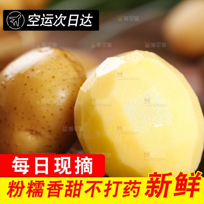 深底上的宜昌小土豆