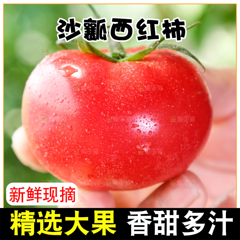 手里拿着普罗旺斯西红柿