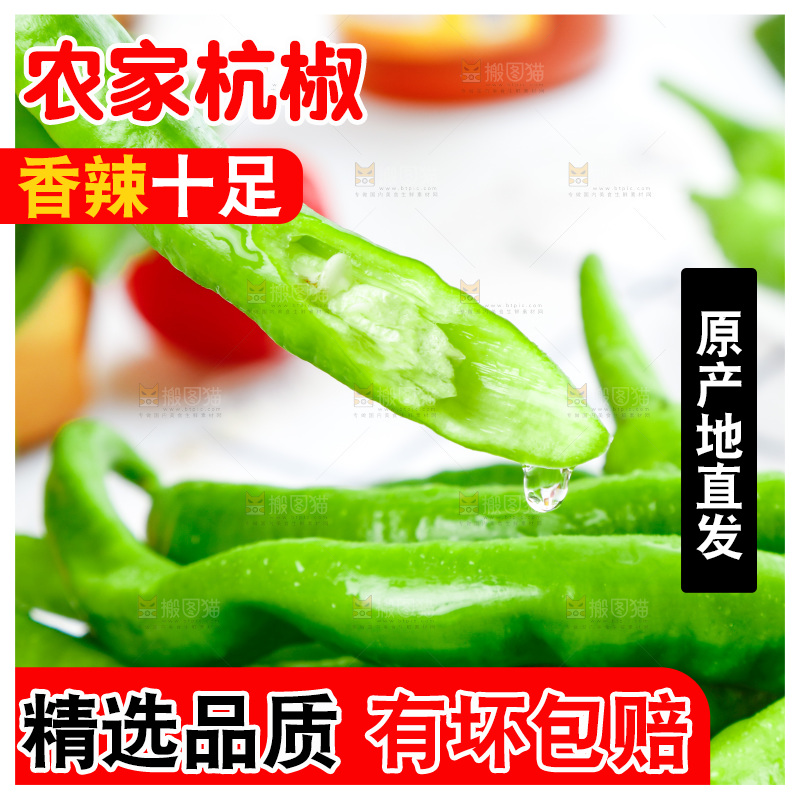 格子底上摆放着青辣椒