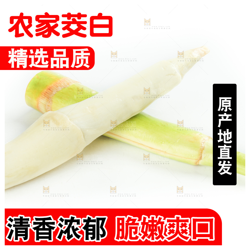 白底上摆放着茭笋