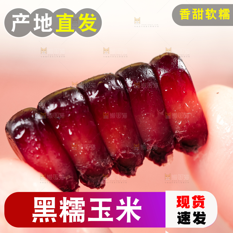手里拿着紫玉米