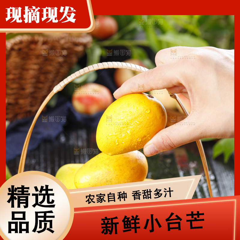 篮子里装着鸡蛋芒