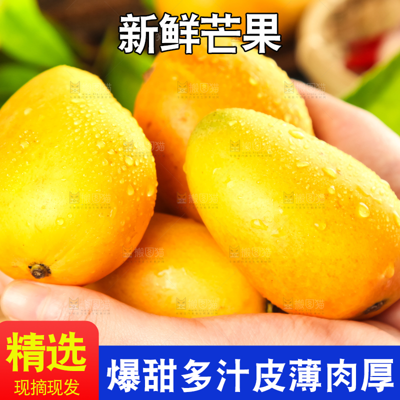 手里拿着小台芒