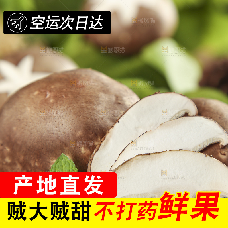 木底上摆放着菌菇