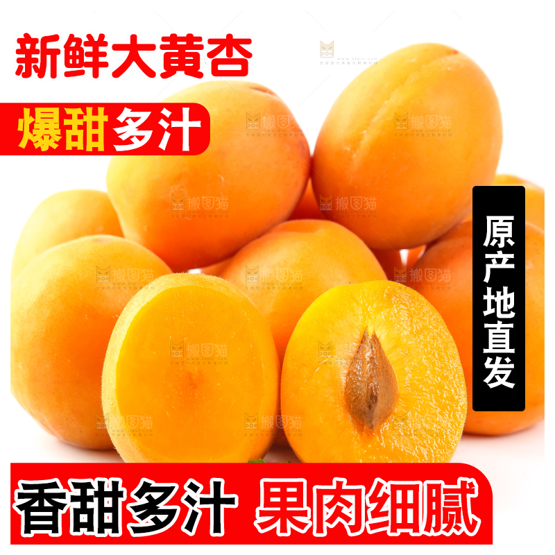 白底上放着陕西新鲜大黄杏