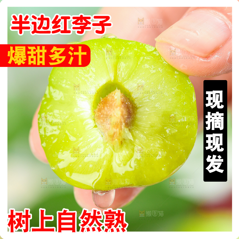 手里拿着脆红李