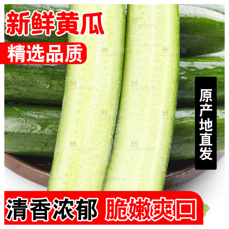 白底上摆放着嫩黄瓜