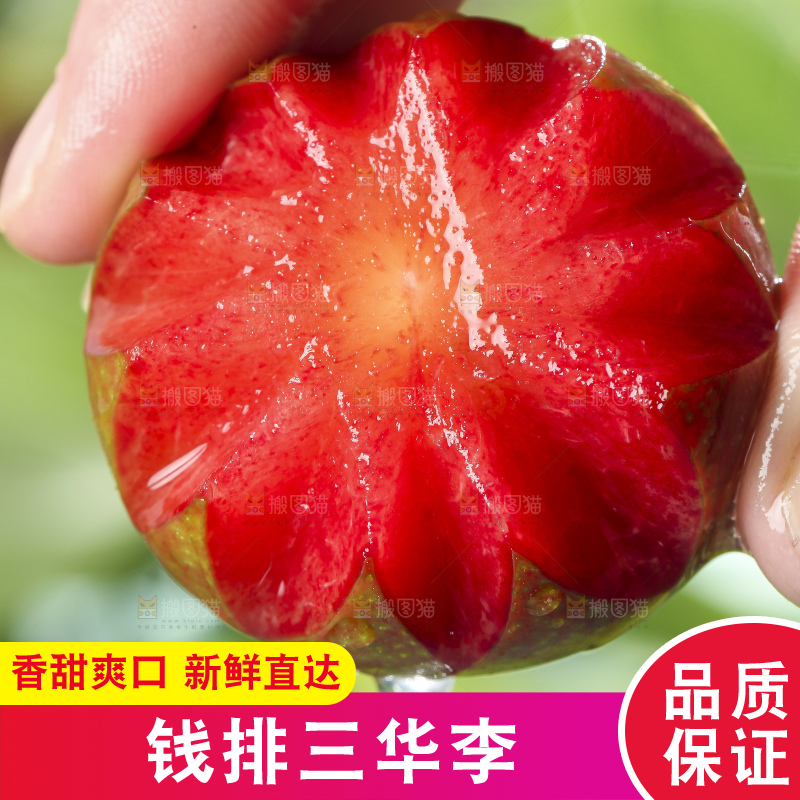 手里拿着红心李子
