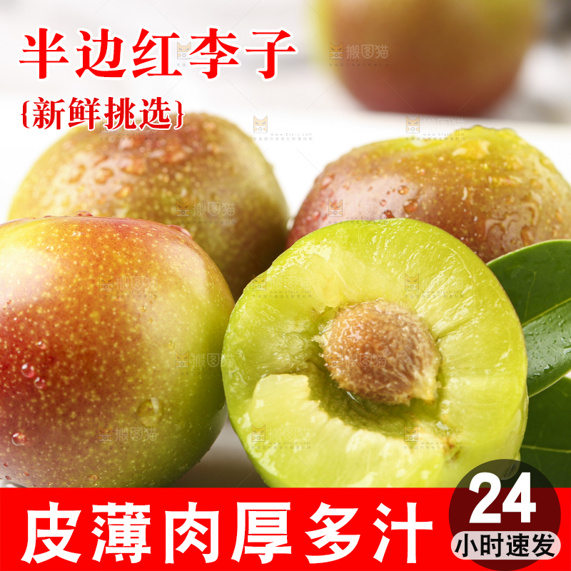 石板上摆放着四川茵红脱骨李