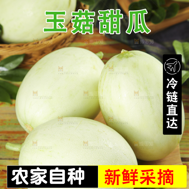 木底上摆放着南汇玉菇甜瓜