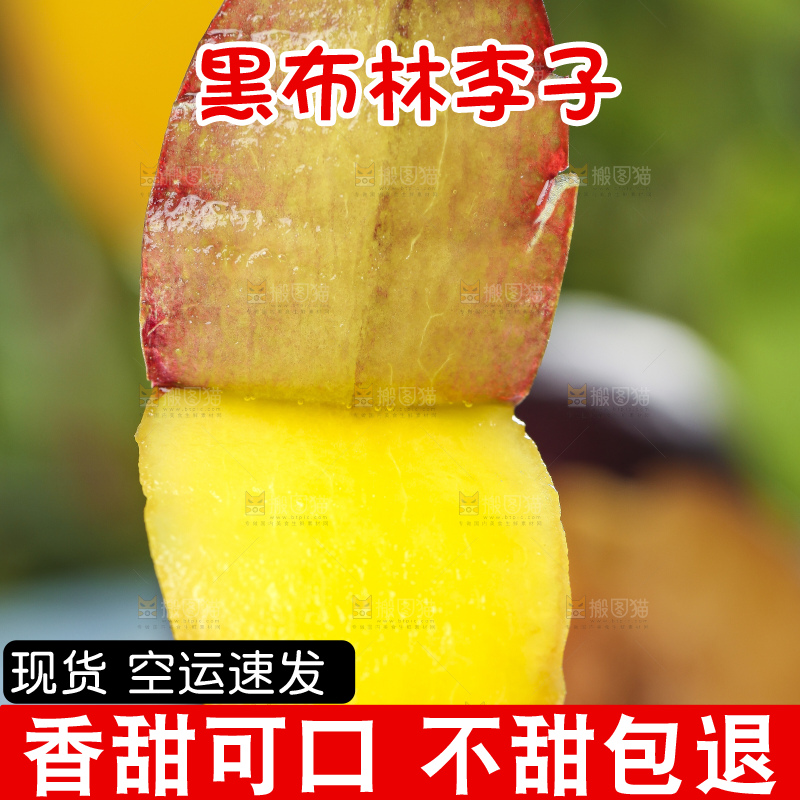 手里拿着黑李子