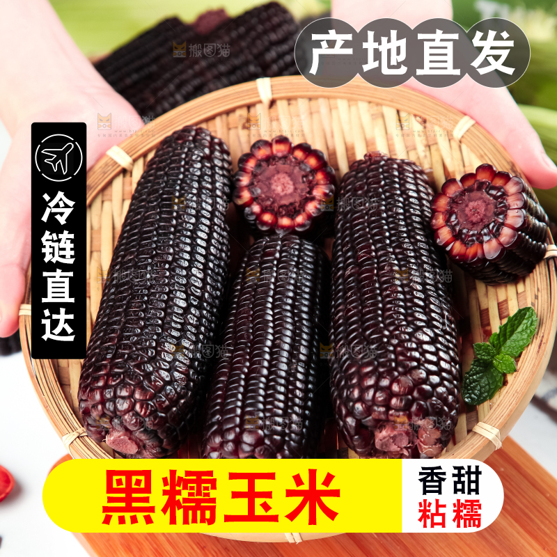 篮子里装着紫黑玉米