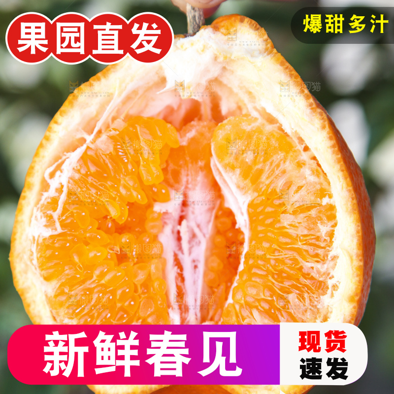 手里拿着耙耙柑