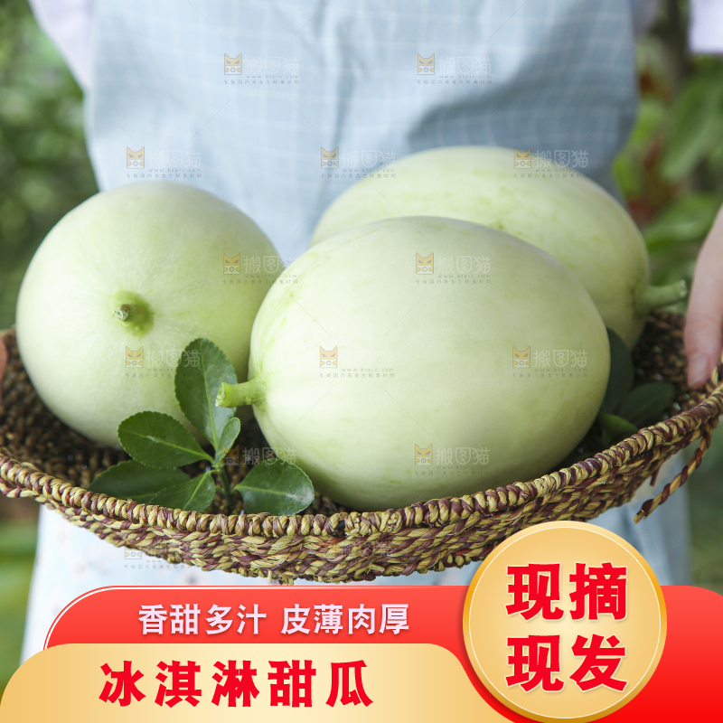 篮子里装着南汇玉菇甜瓜