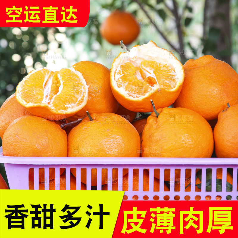 手里拿着耙耙柑