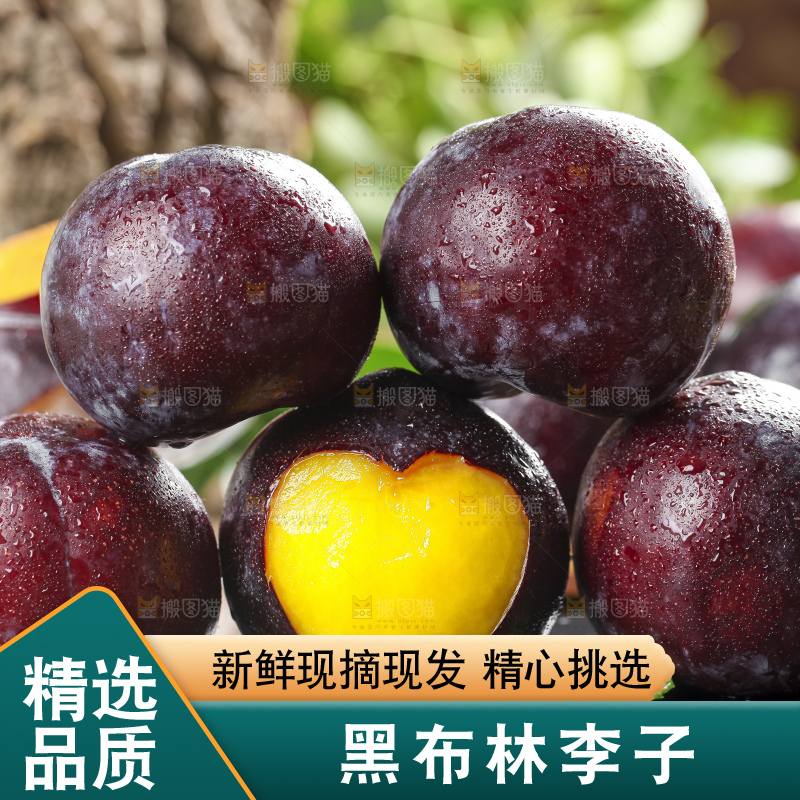 黑底上放着黄肉黑布李