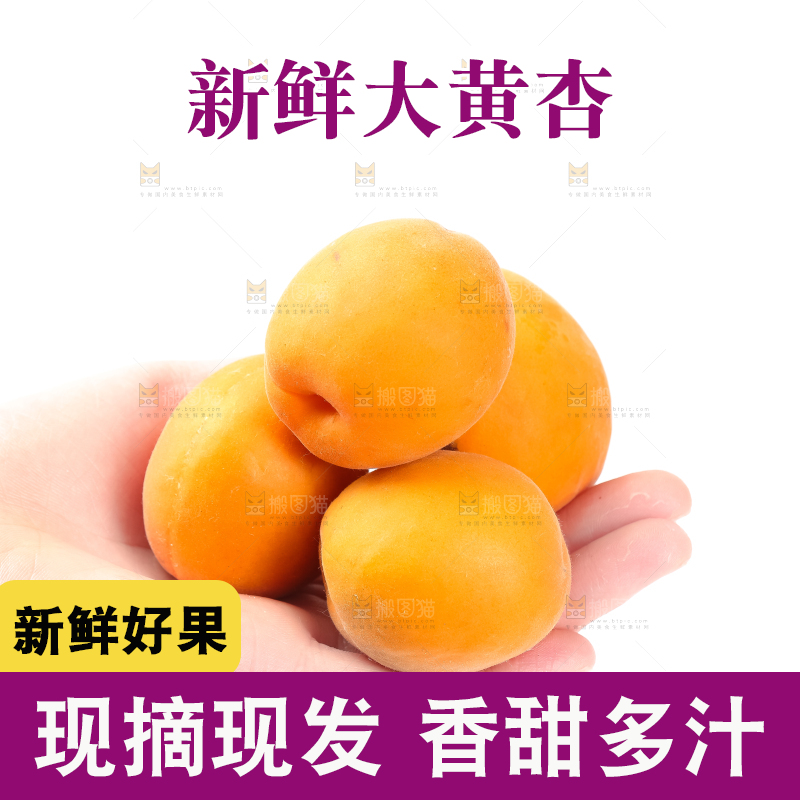 手里拿着大黄杏