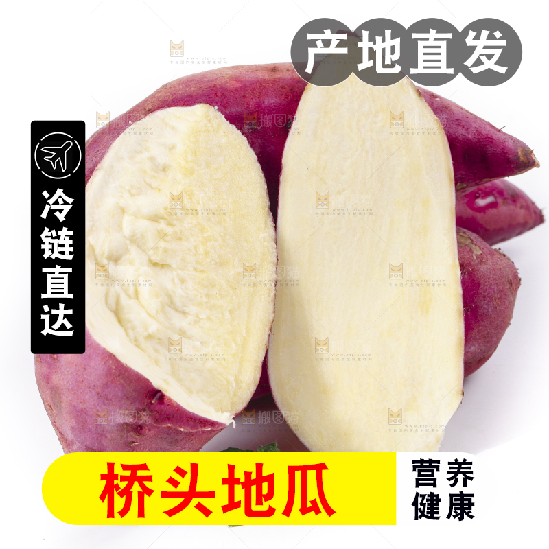 白底上摆放着海南桥头地瓜