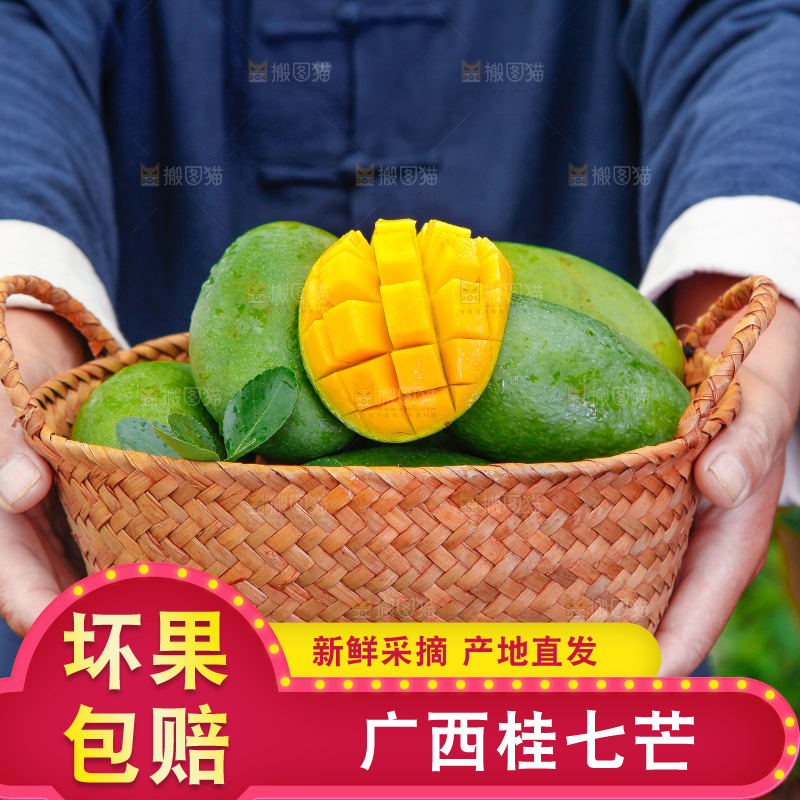 篮子里装着田东桂七芒