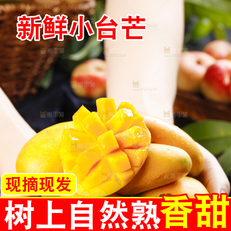手里拿着小台农芒