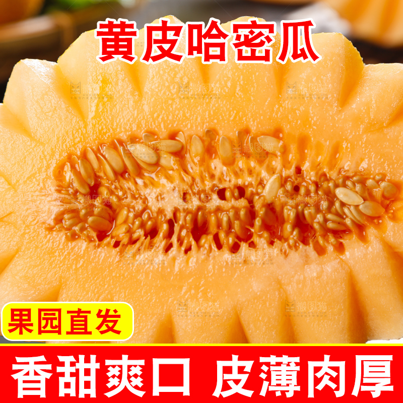 黑底上摆放着吐鲁番火焰蜜瓜