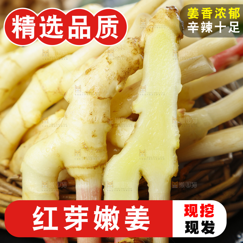 篮子里装着新鲜嫩姜
