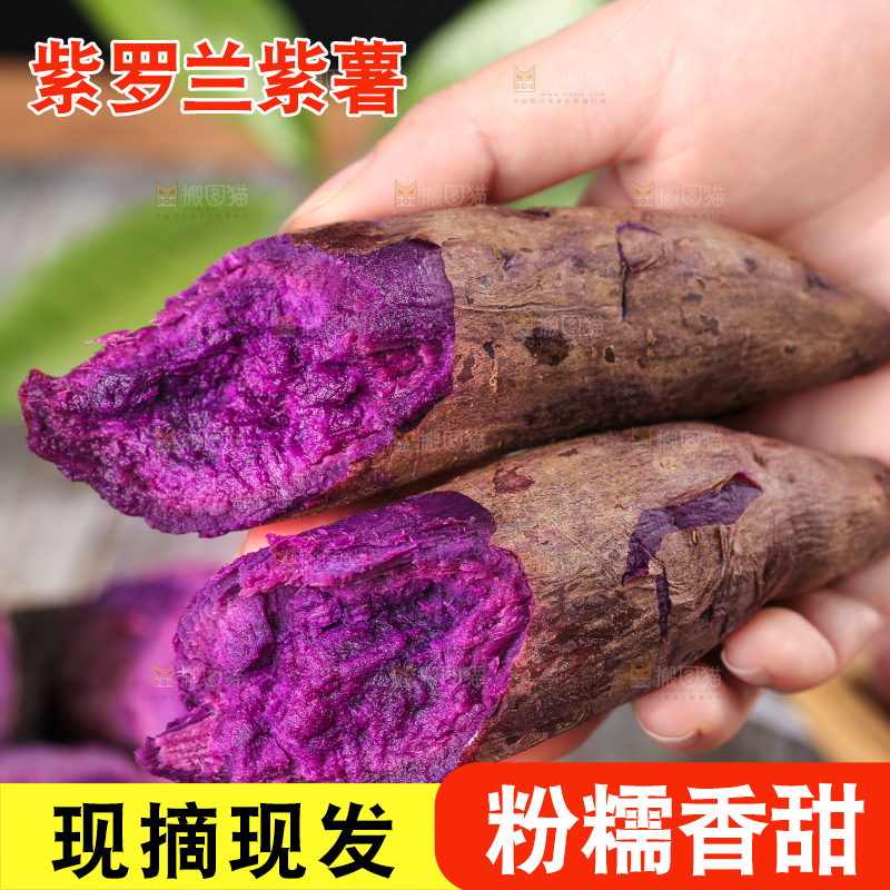 手里拿着紫番薯
