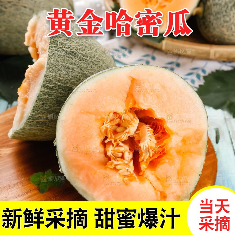 木底上摆放着网纹瓜