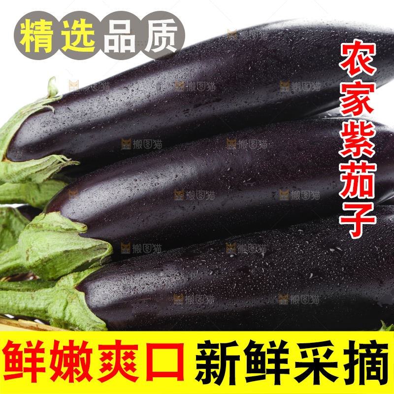 篮子里装着紫茄子