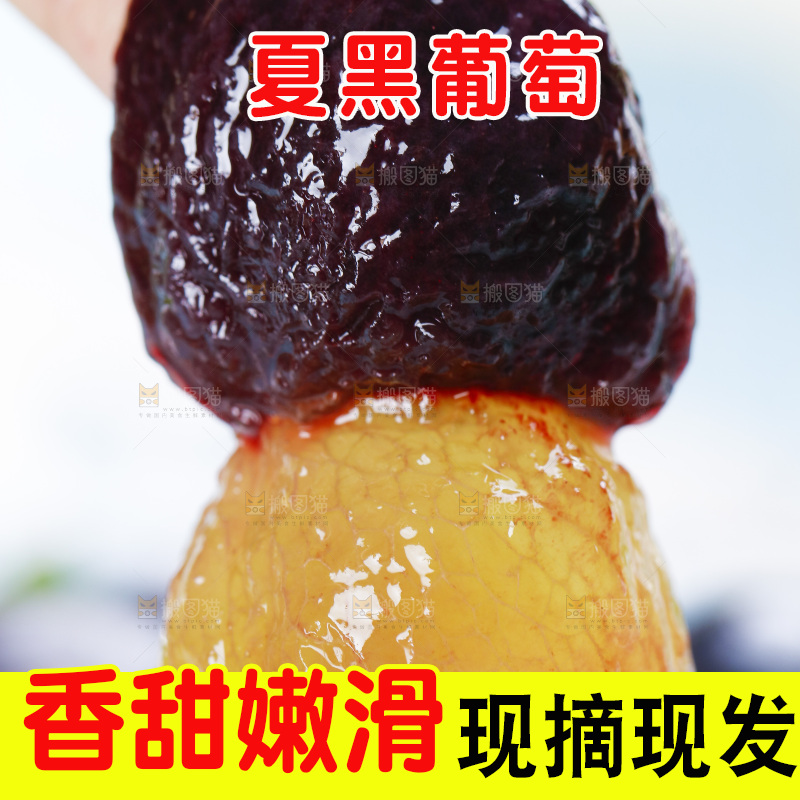 手里拿着云南夏黑葡萄