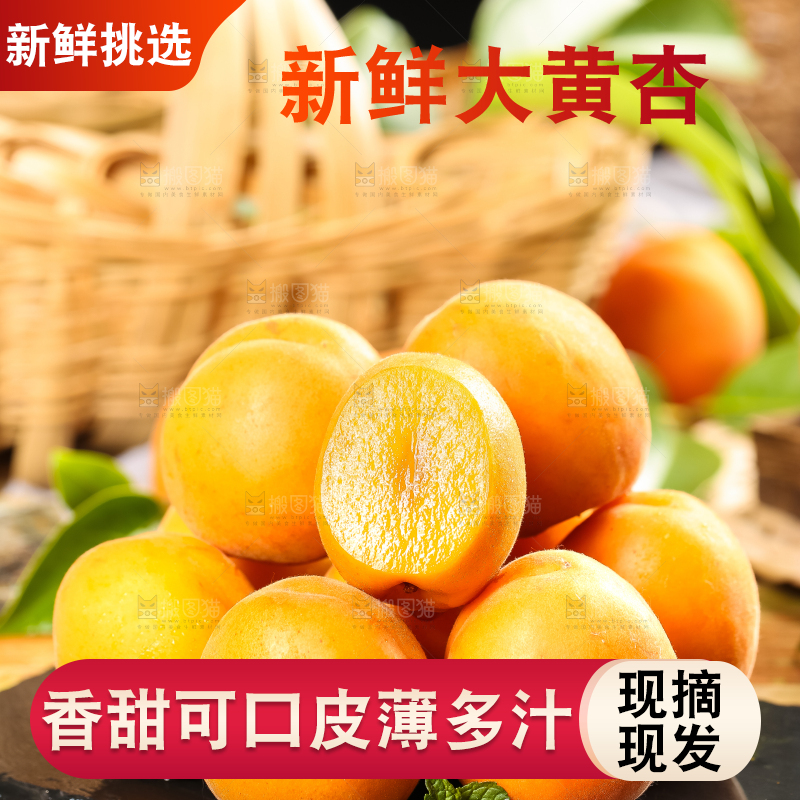 黑底上放着大黄杏